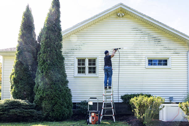 Best Restaurant Pressure Washing  in Franklinville, NC