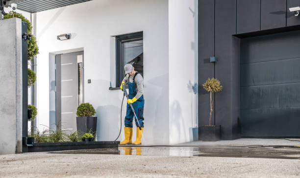 Best Driveway Pressure Washing  in Franklinville, NC